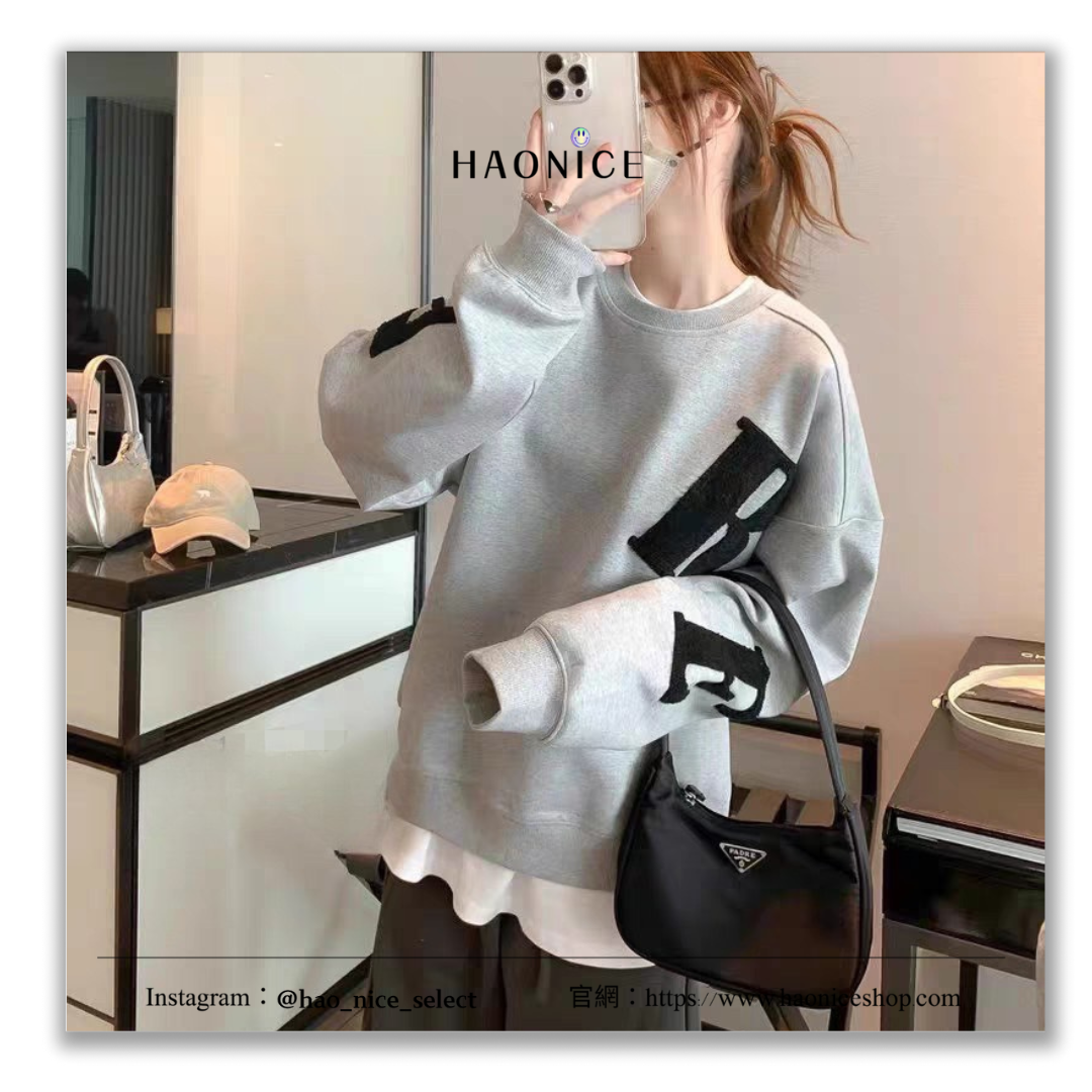 【HAO NICE 】 100%韓國🇰🇷正品 ADER ERROR SMALL  25FW 秋冬新款❄️ 大字母刺繡 韓版長袖 素色大學T❤️