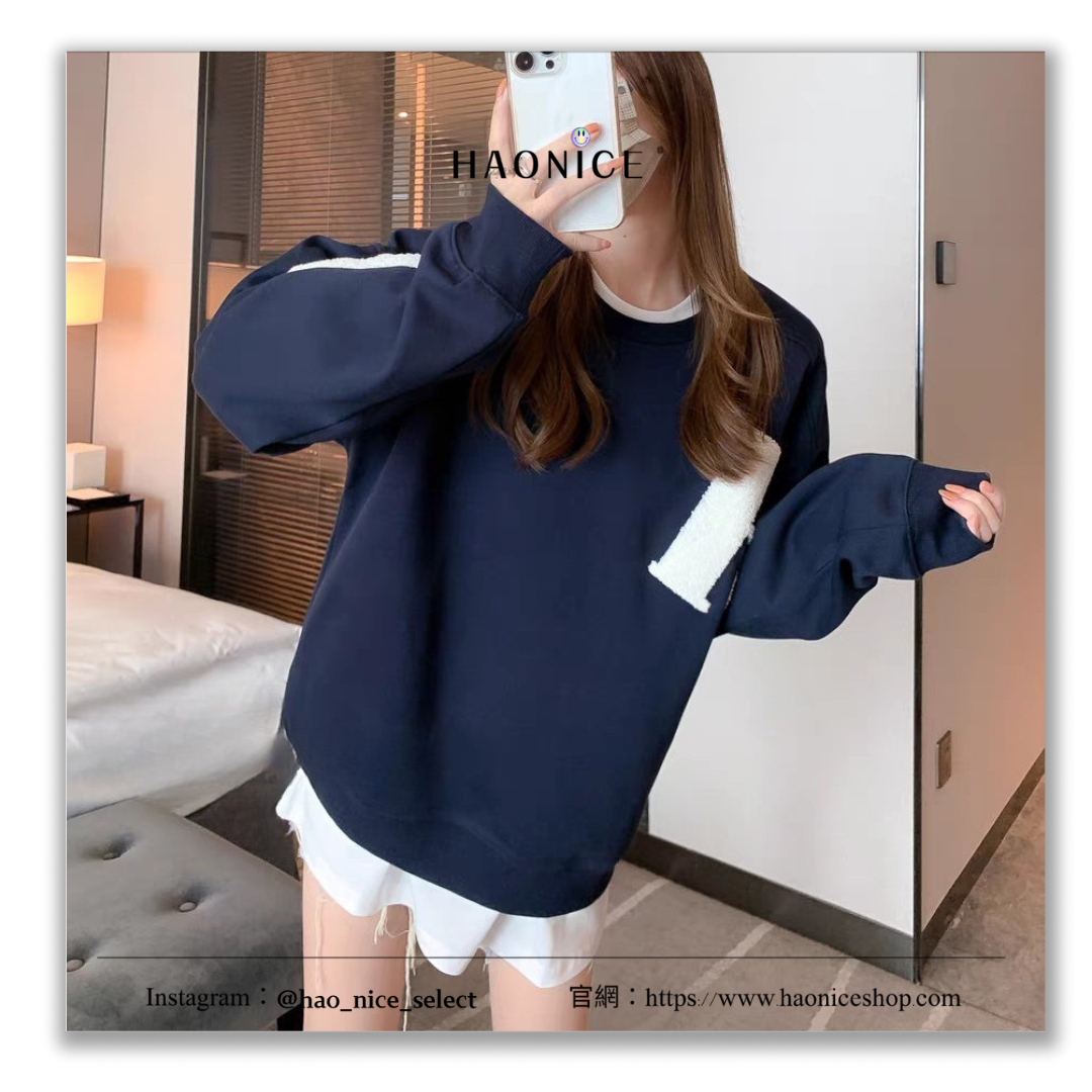 【HAO NICE 】 100%韓國🇰🇷正品 ADER ERROR SMALL  25FW 秋冬新款❄️ 大字母刺繡 韓版長袖 素色大學T❤️