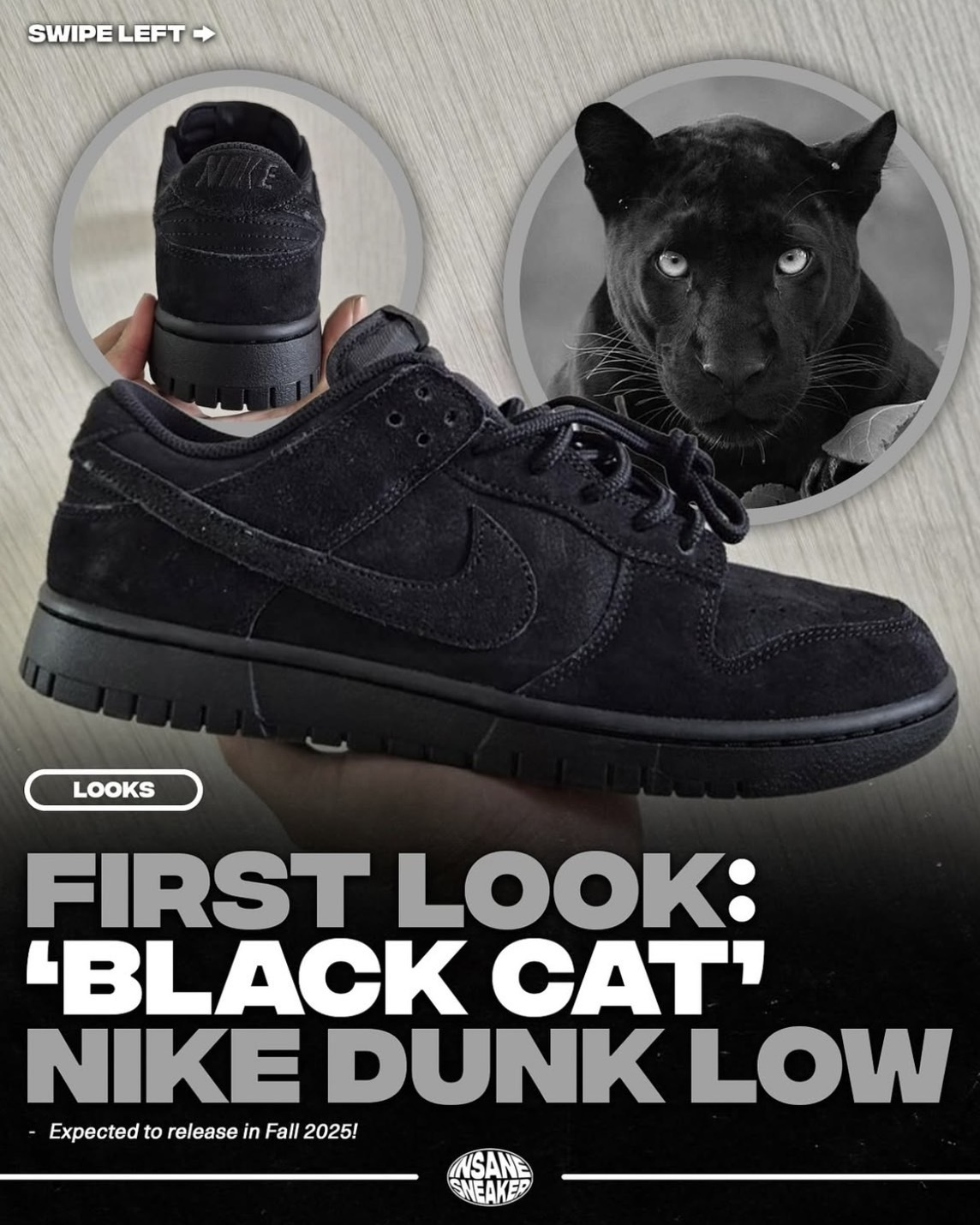 Nike Dunk Low SE Triple Black 黑色 復古 麂皮 低筒休閒鞋 男女鞋