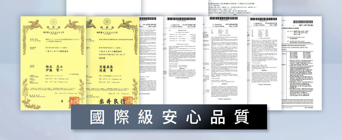 燈泡冰玫瑰EX-嚴萃保健-33