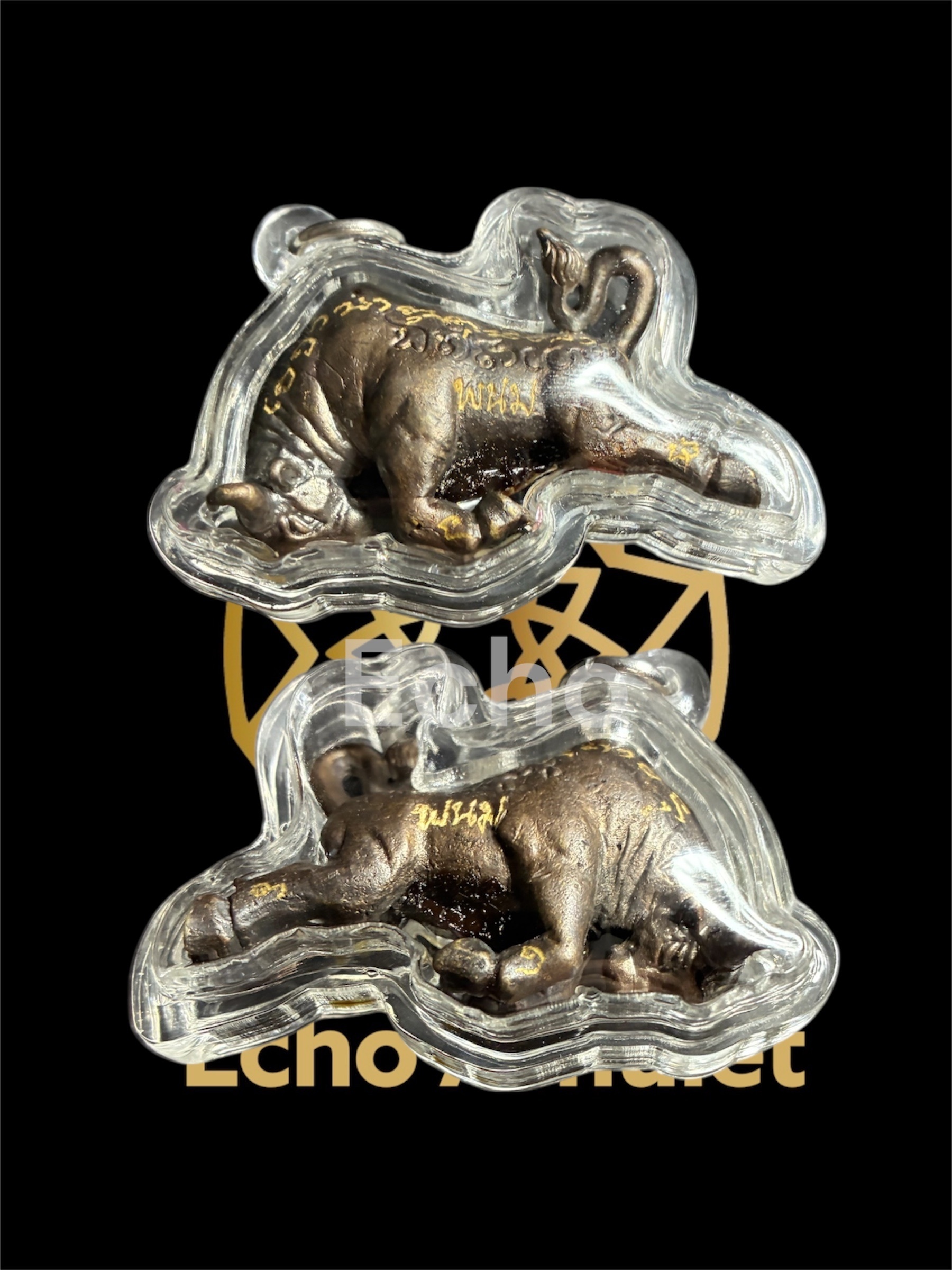 阿贊望打 金屬弓箭牛「鍋吞努」