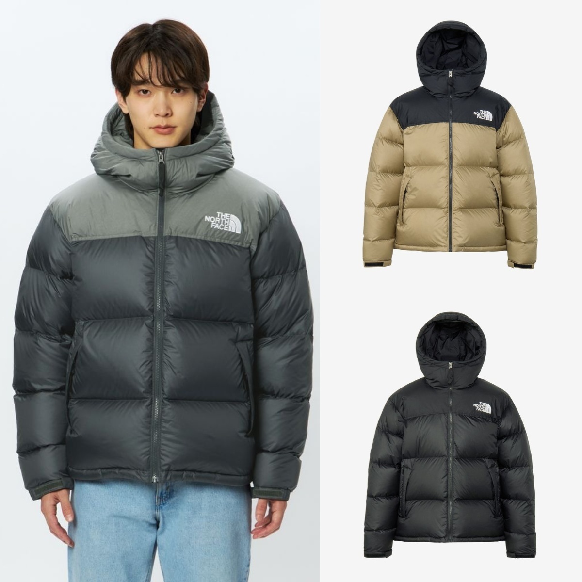 預購┃日本 TNF 男款  Nuptse Hoodie 羽絨 防潑水 連帽 外套