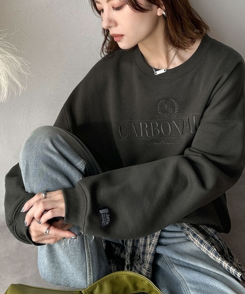 日本🇯🇵連線 JAVA 3D刺繡學院風羊毛襯裡大學T 學院風 復古 刺繡 寬鬆 運動衫 長袖 套頭衫 3色(任買兩件711免運)/預購