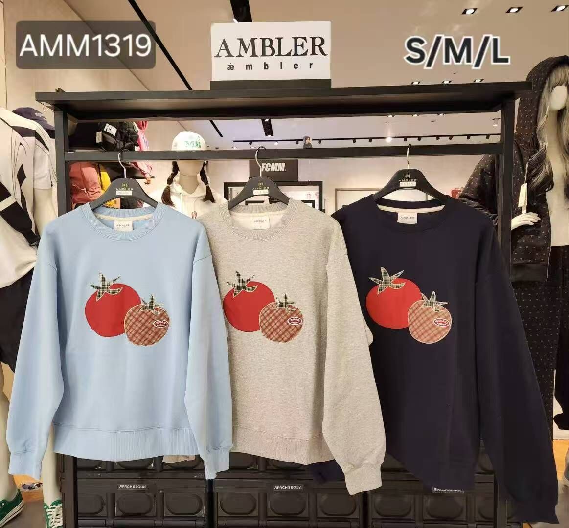 韓國代購 AMBLER 25年新款加絨衛衣TOP AMM1319