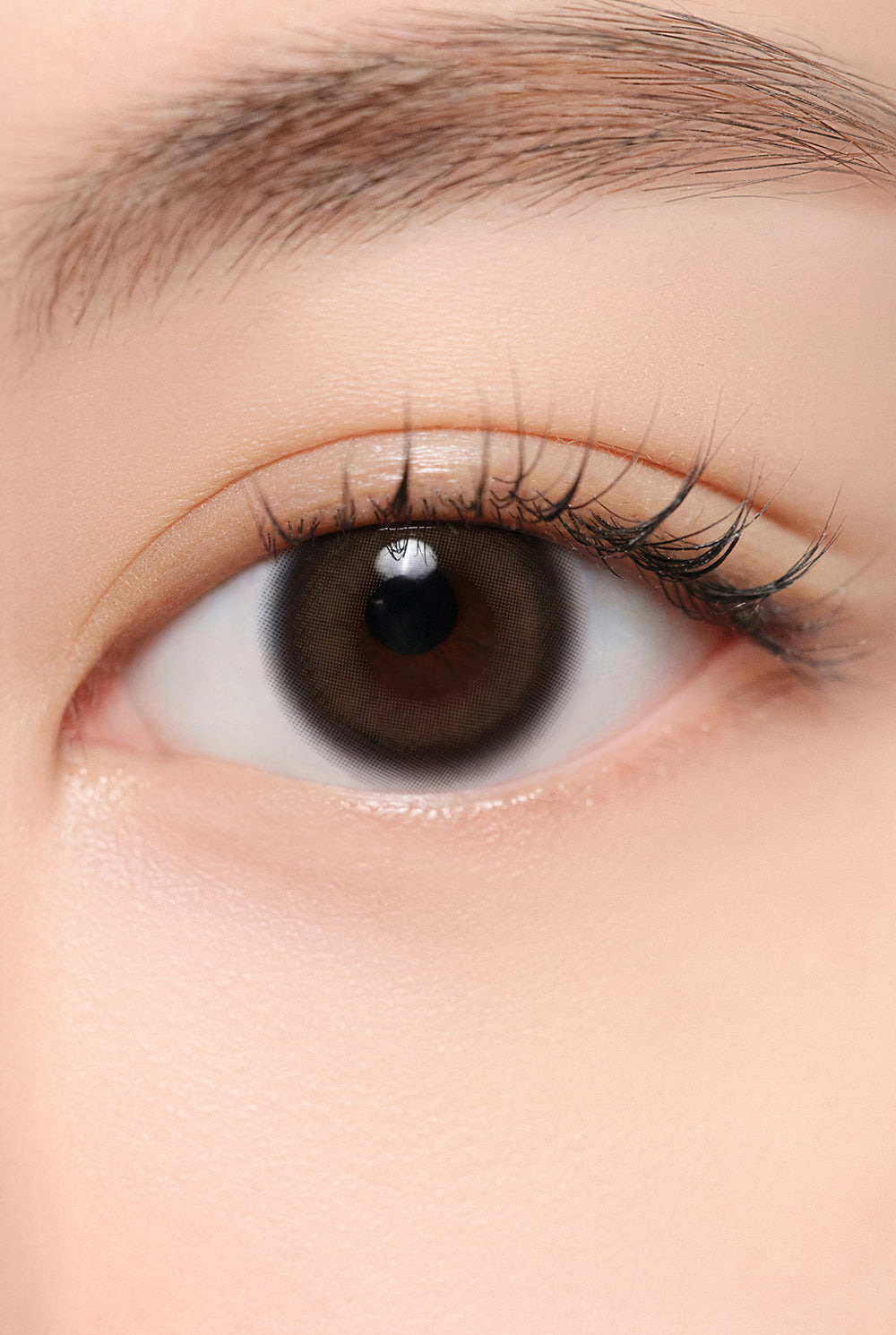 [日拋] Hapa Kristin Quiet Kristin 1 Day 棕色 Brown 彩妝隱形眼鏡 |每盒10片