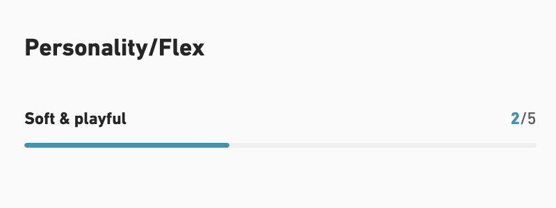 【JONES】Rally Cat_INTRO