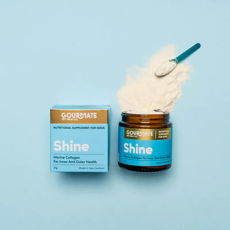 Gourmate｜海洋閃毛粉 (犬貓可食) 21g