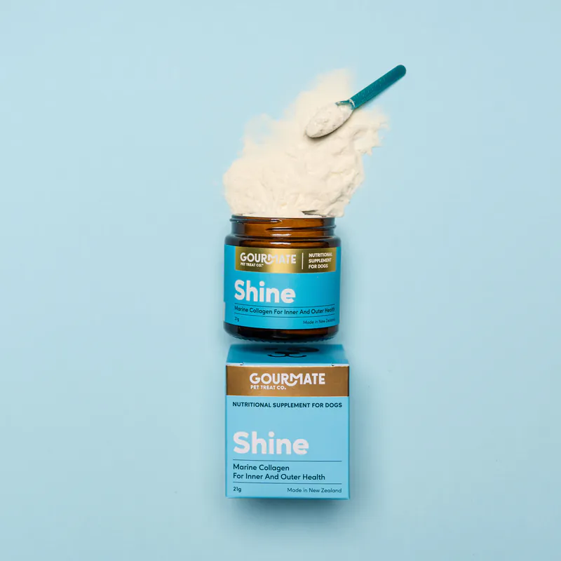 Gourmate｜海洋閃毛粉 (犬貓可食) 21g