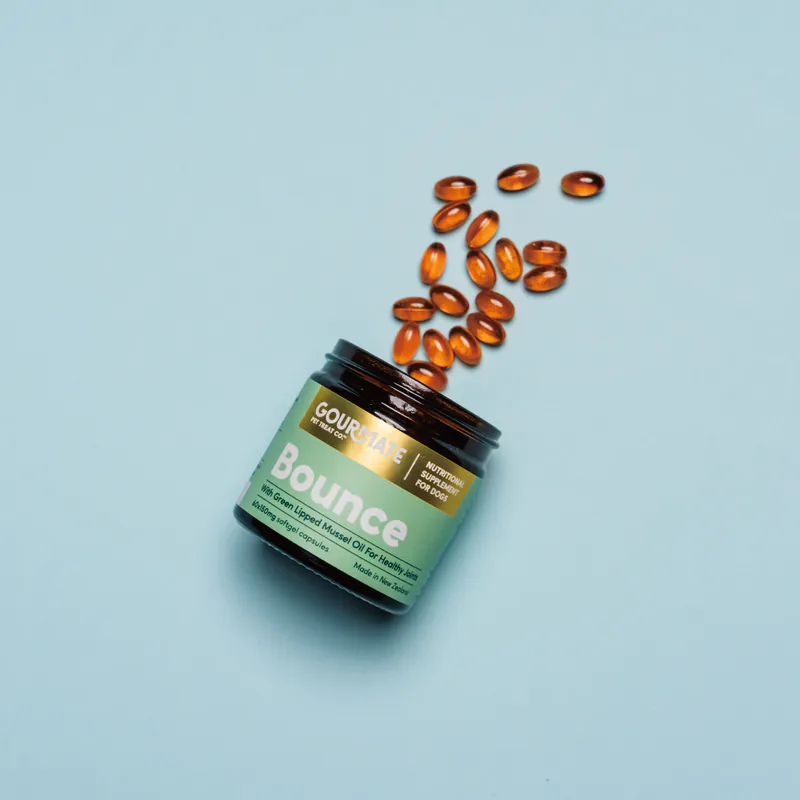 Gourmate｜動動錠 (犬貓可食) 60顆裝