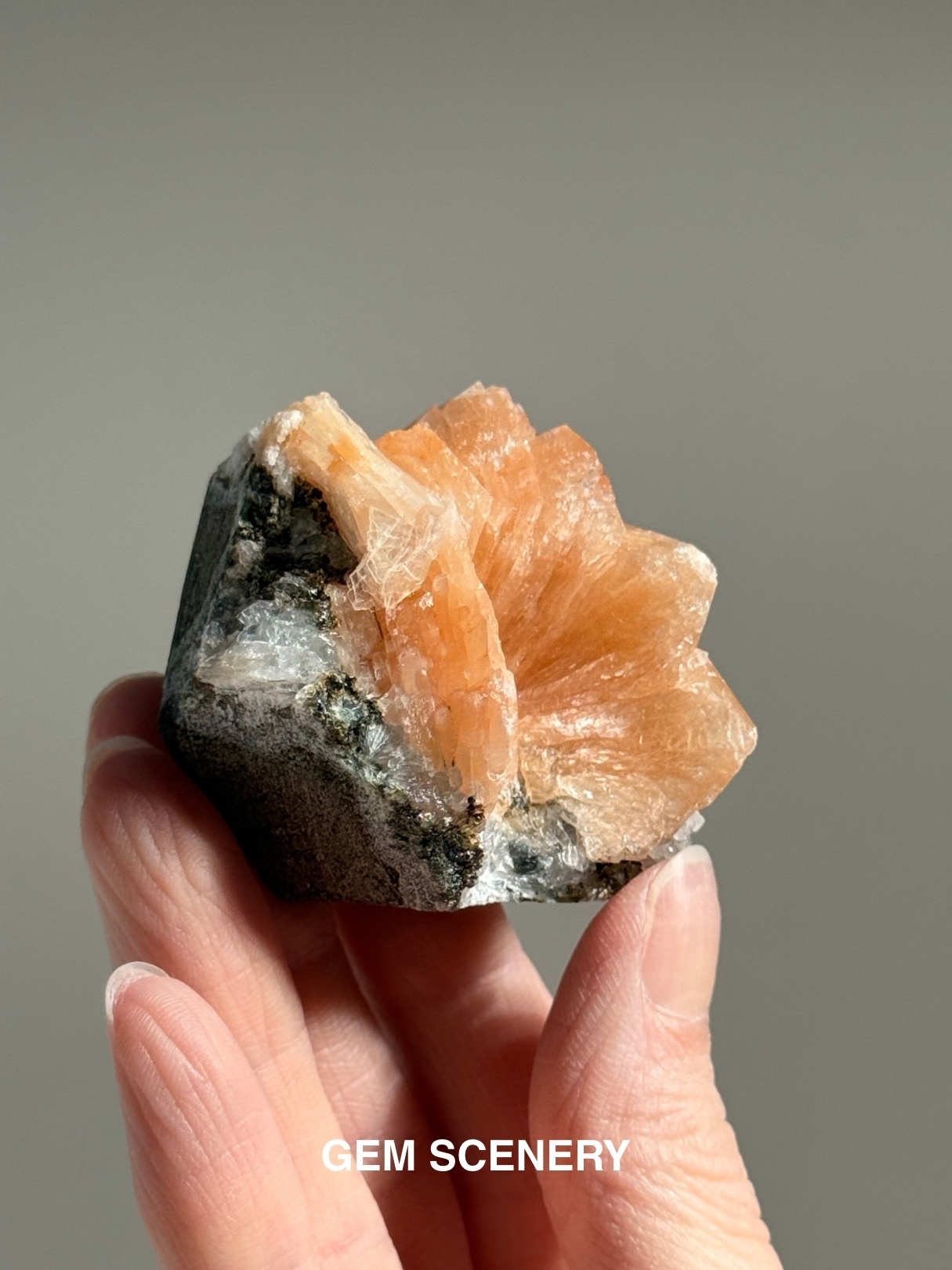 Bloom of Dawn - Stilbite