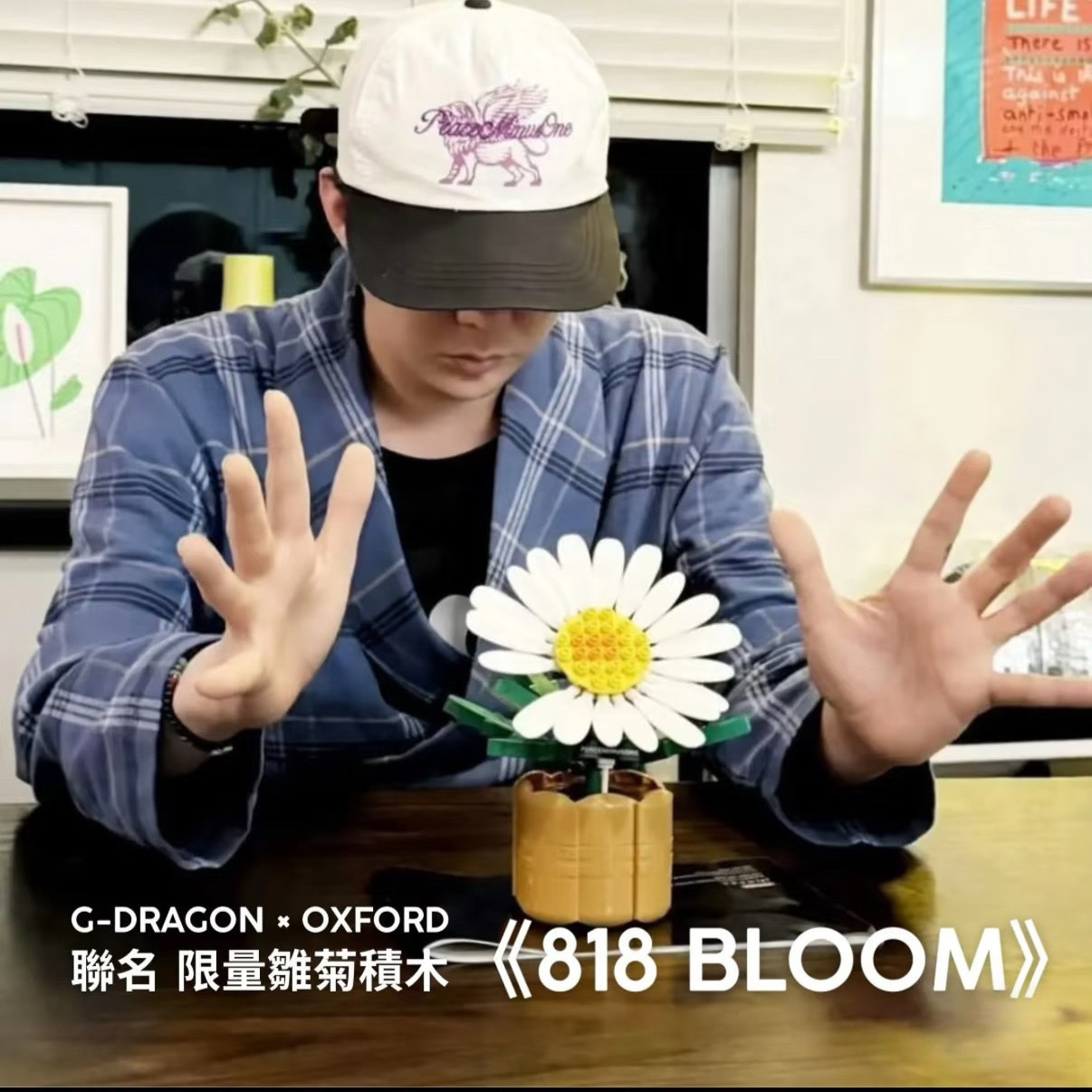 超限量聯名 PEACEMINUSONE G-DRAGON x OXFORD GD 818 BLOOM 權志龍 雛菊積木