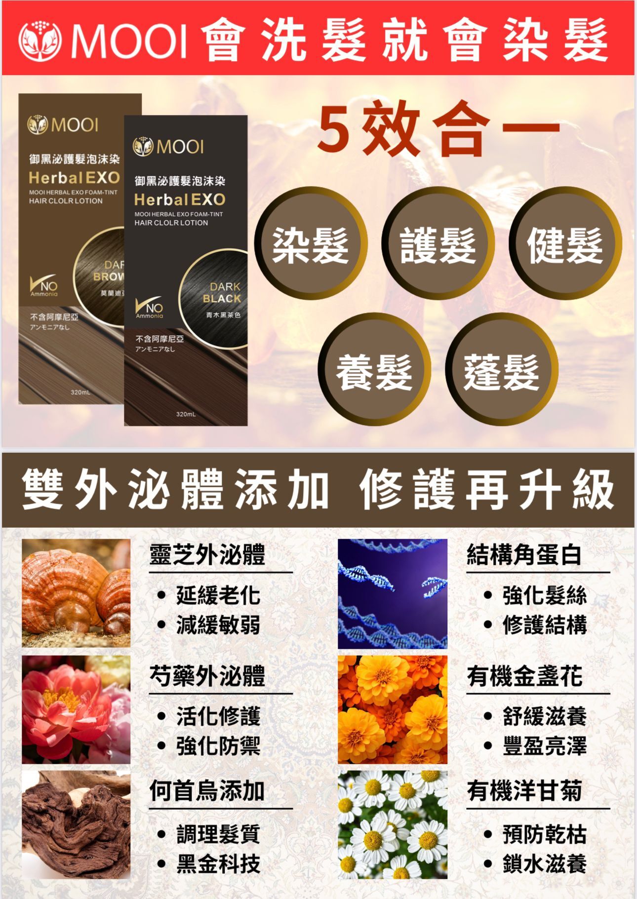 (4952) MOOI 外泌體泡沫染髮 320ml (4色選擇)