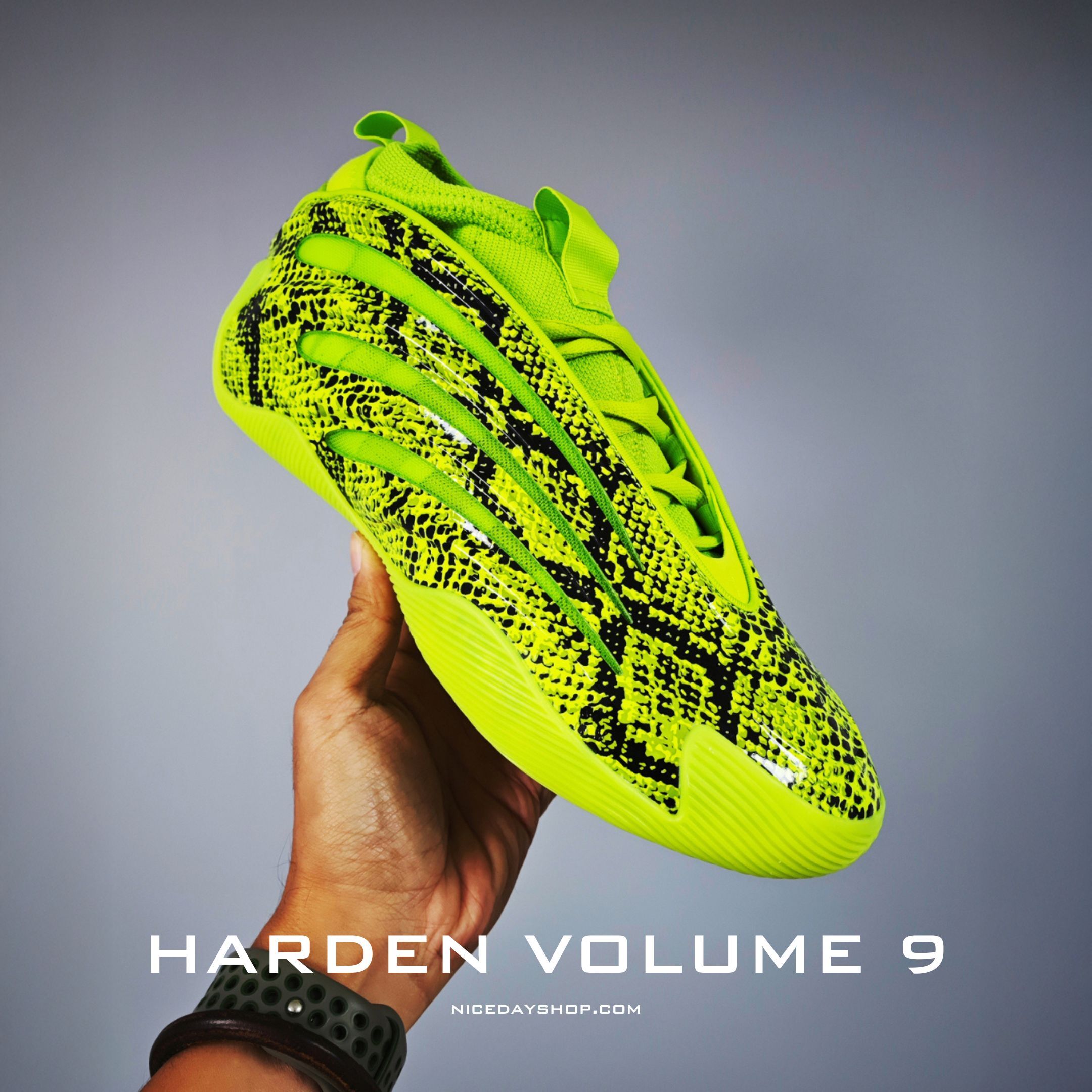 NICEDAY 代購 Adidas Harden Volume 9 愛迪達 哈登 籃球鞋 實戰 蛇紋 青竹絲 綠 JR8289