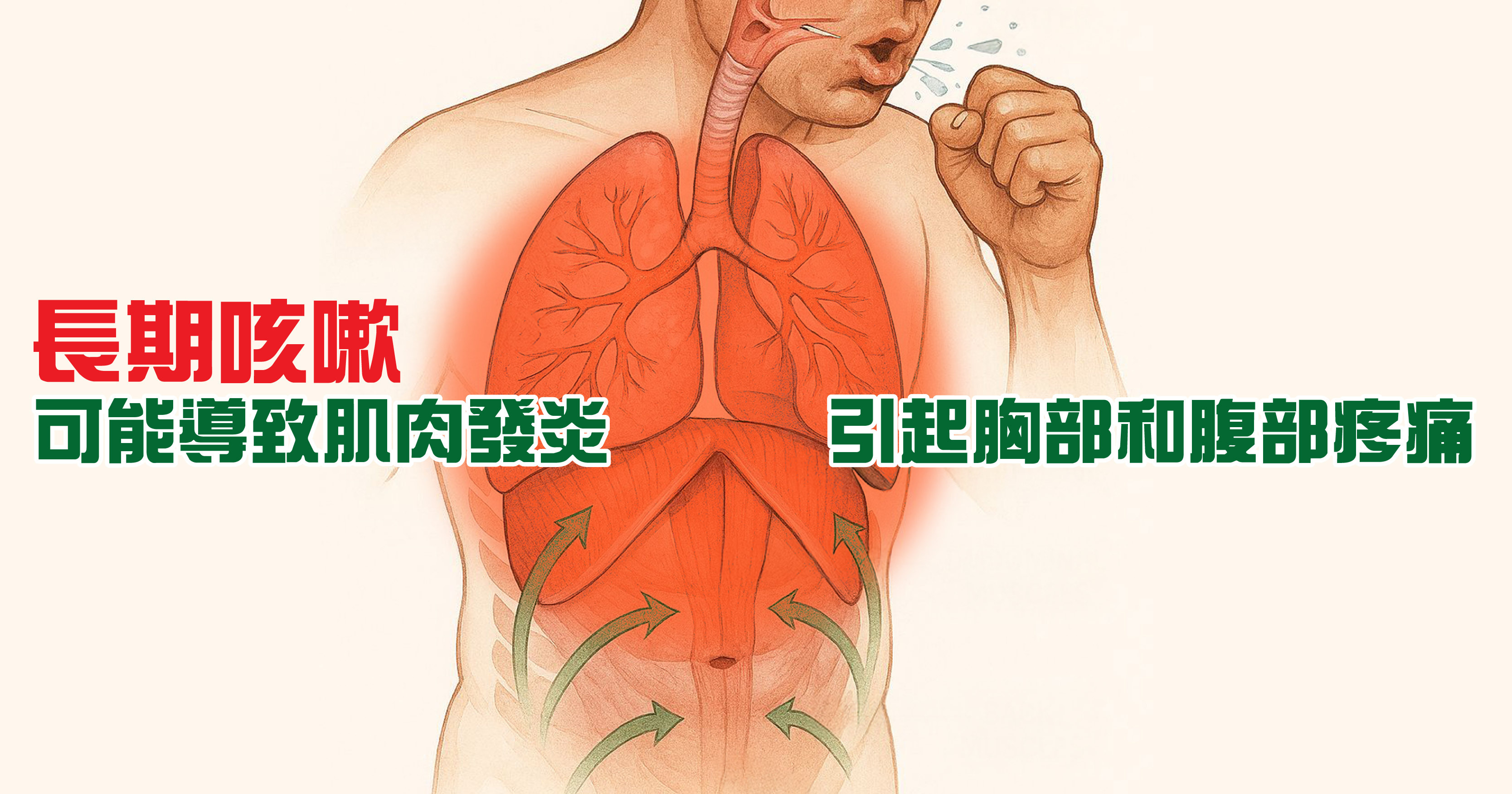 咳嗽是身體利用胸部、腹部和背部肌肉強力收縮,壓迫肺臟以排出氣道中異物和分泌物的生理反應。長期咳嗽會對肌肉造成損傷,可能導致肌肉發炎,並引起胸部和腹部疼痛。特別是對於骨質疏鬆的老年人,咳嗽的影響更為顯著,甚至可能出現「咳到骨折」的情況。因此,長期咳嗽的症狀不容忽視,應該及時就醫。