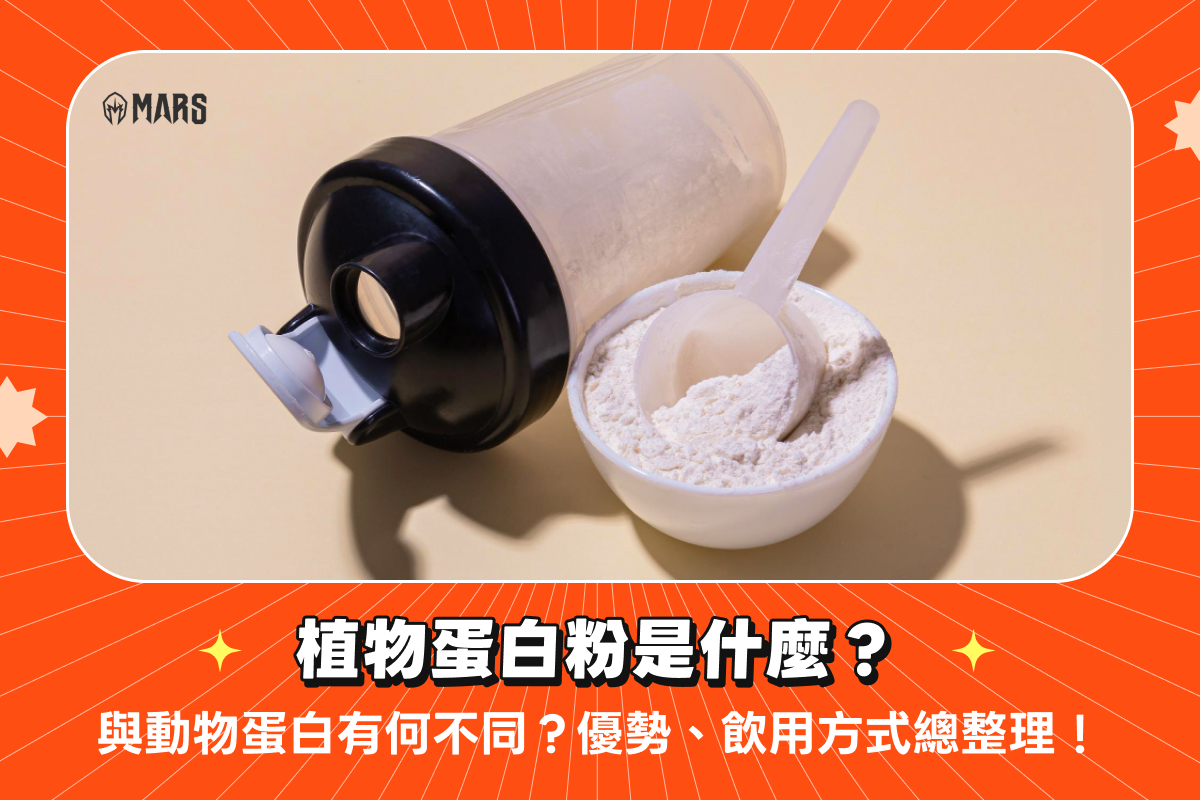 植物蛋白粉是什麼？與動物蛋白有何不同？優勢、飲用方式總整理！