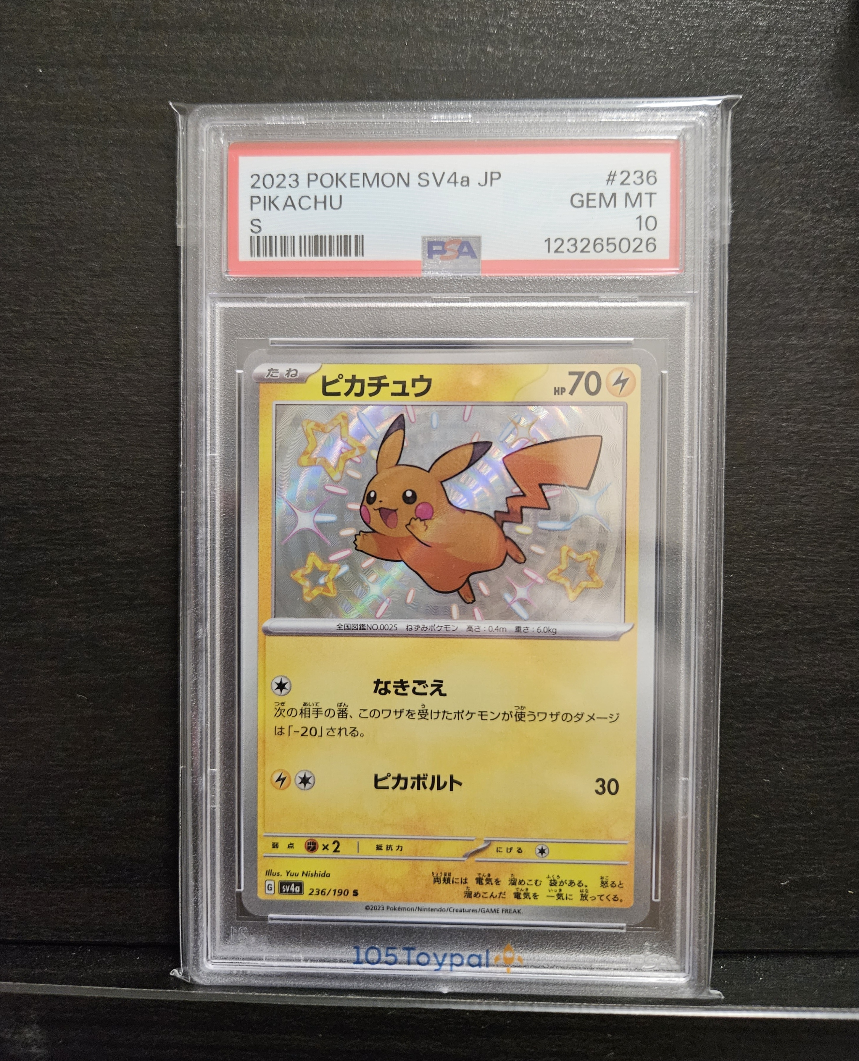 現貨- 【PSA10】日版色違比卡超卡