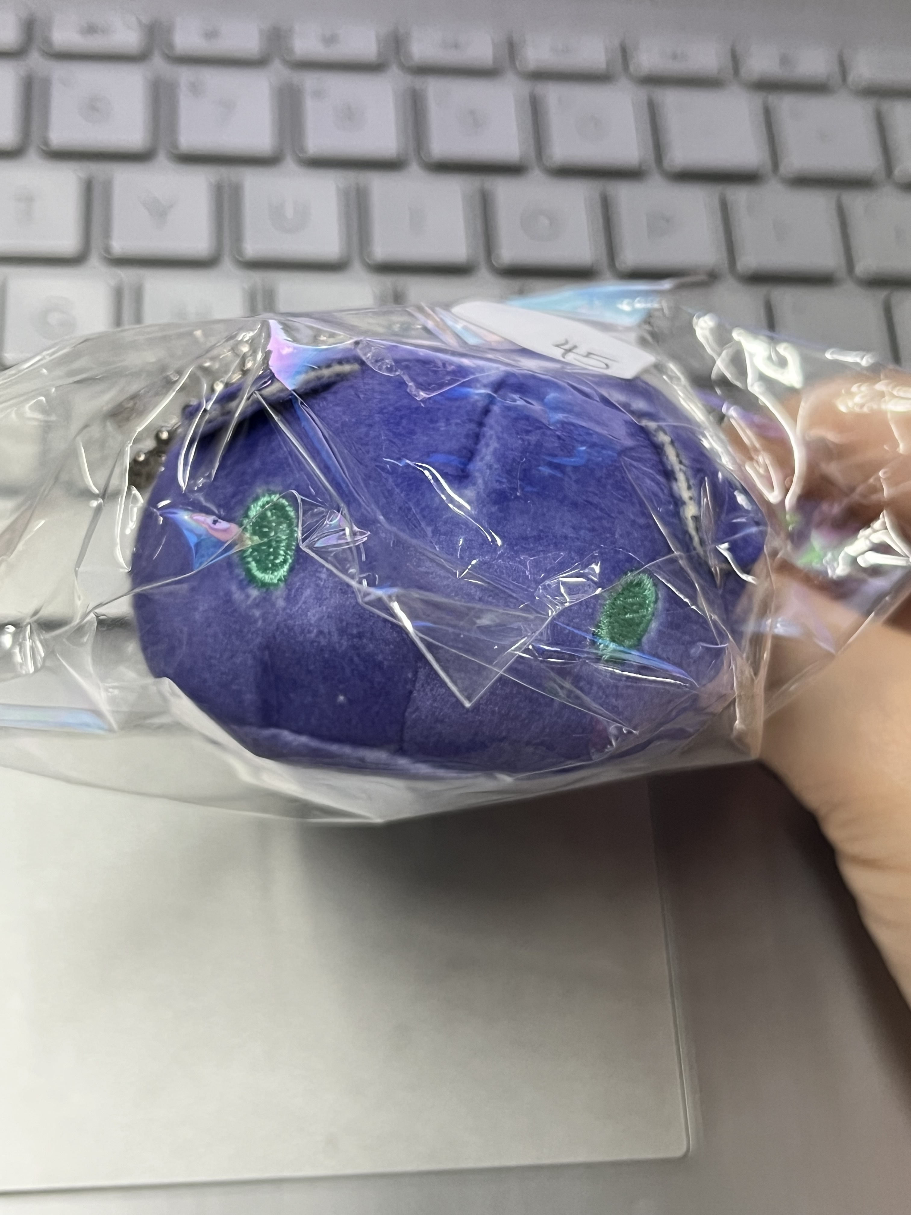 魔法使的約定  MURR 公仔#330