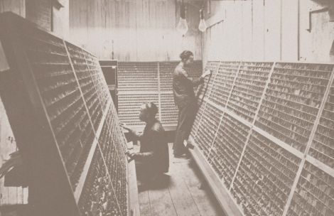 翁秀梅《香港字二百年：從世一大白象至世界文化遺產之路》