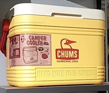 CHUMS Camper Cooler 18L – Mint Cream| Japanese-Style Outdoor Ice Chest / Cooler Box for Camping & Picnic (JUN25)