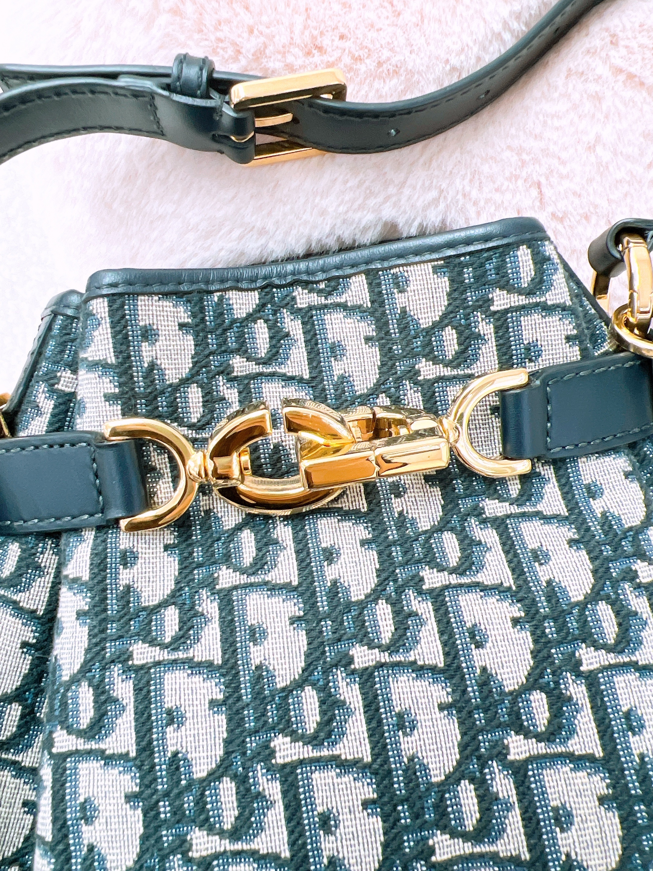 Dior c’est dior bucket medium (blue oblique)