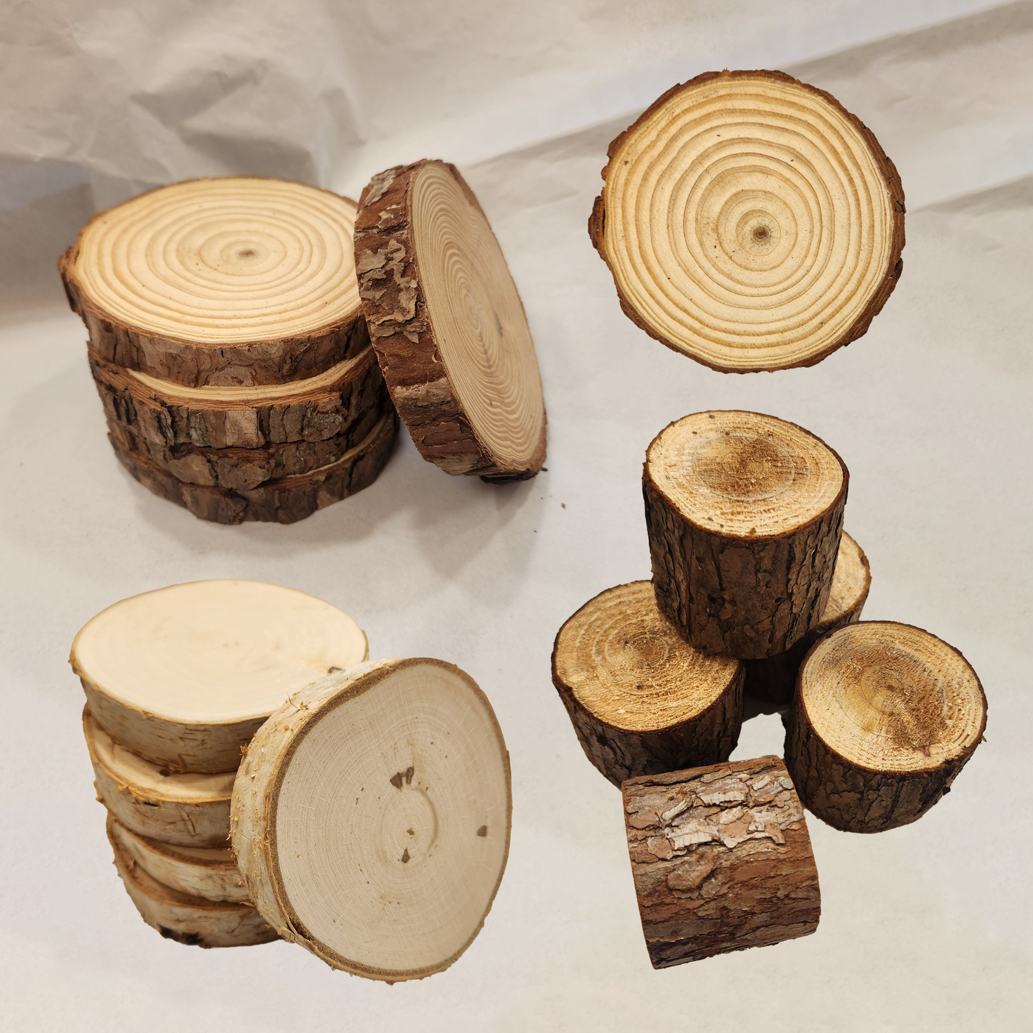 原木切片🪵