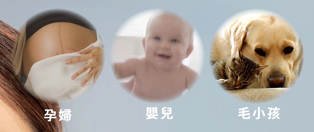 友善孕婦、嬰兒與毛孩的益生菌外用清潔噴霧