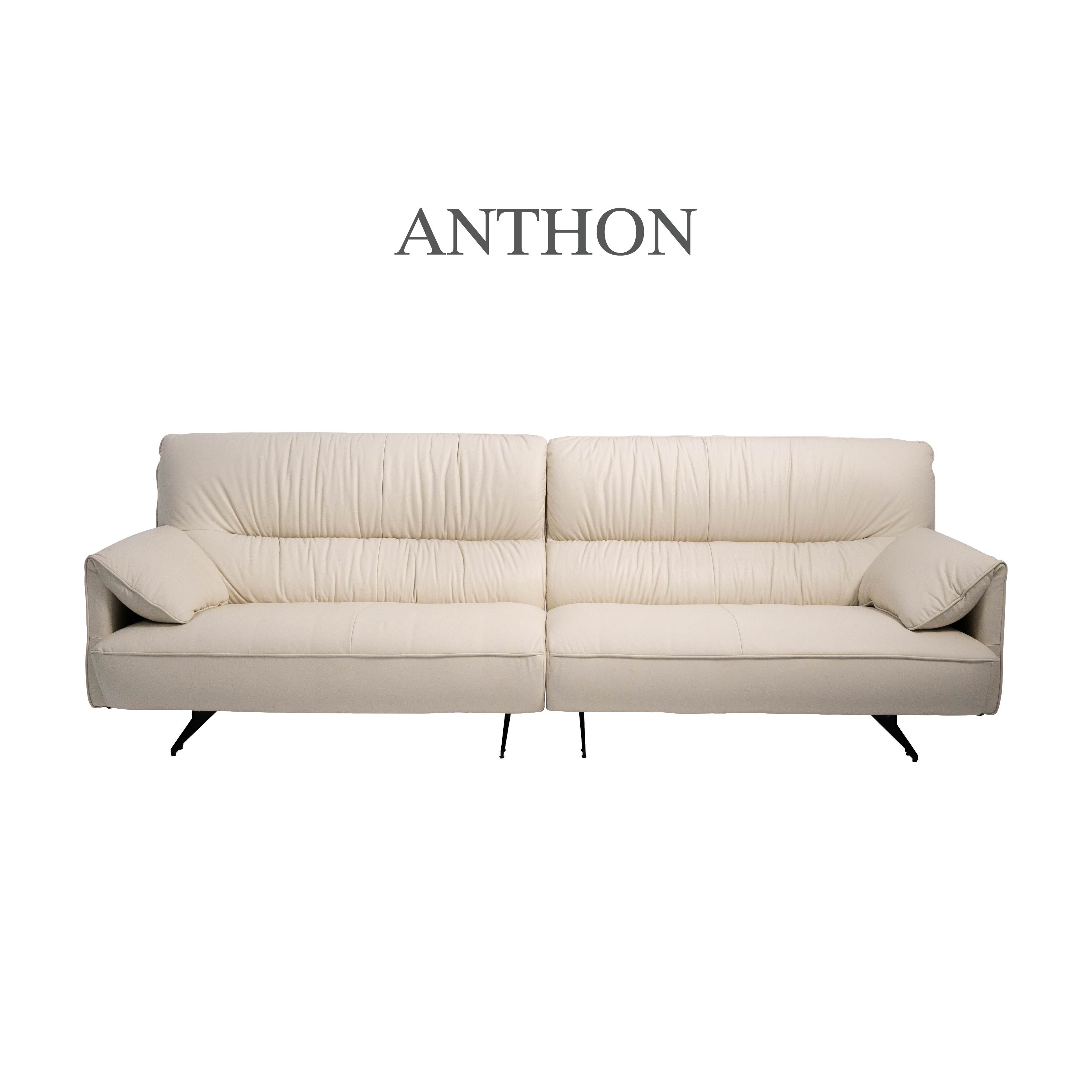 𝐀𝐧𝐭𝐡𝐨𝐧 安東尼