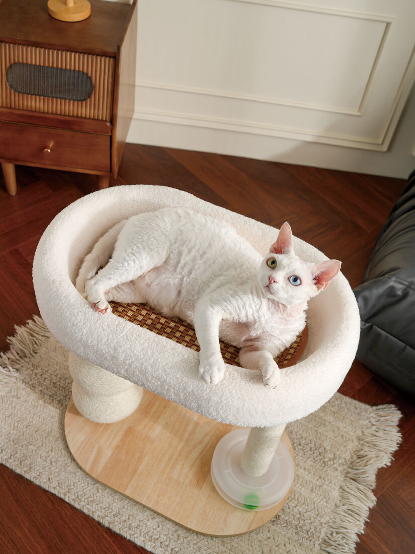 喵仙兒-雙柱睡窩劍麻貓跳台