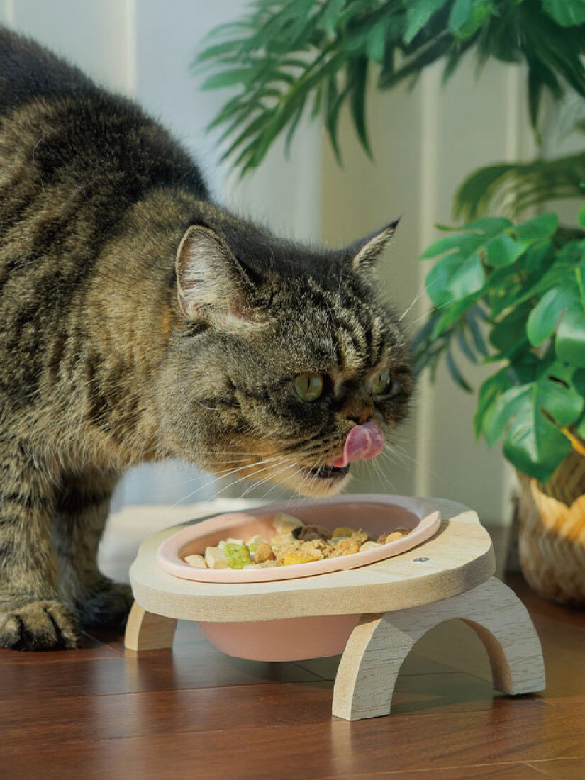 喵仙兒-馬卡龍陶瓷碗架組