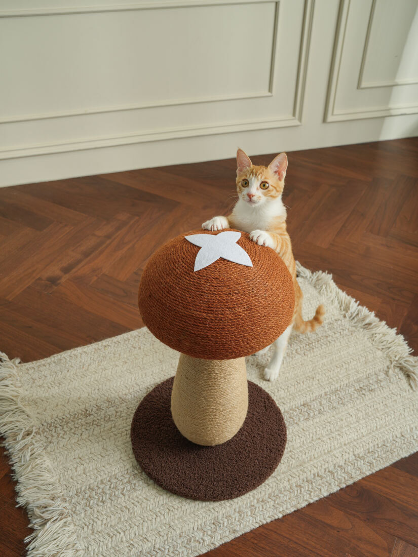 喵仙兒-叉叉菇劍麻貓抓柱