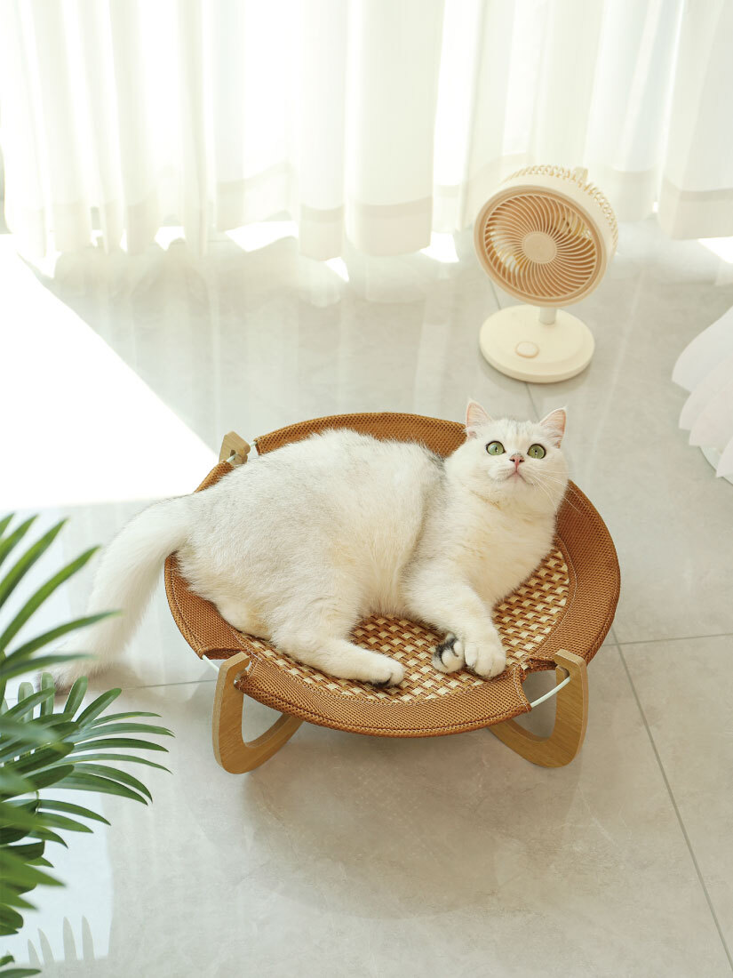 喵仙兒-圓盤盤涼蓆寵物行軍床