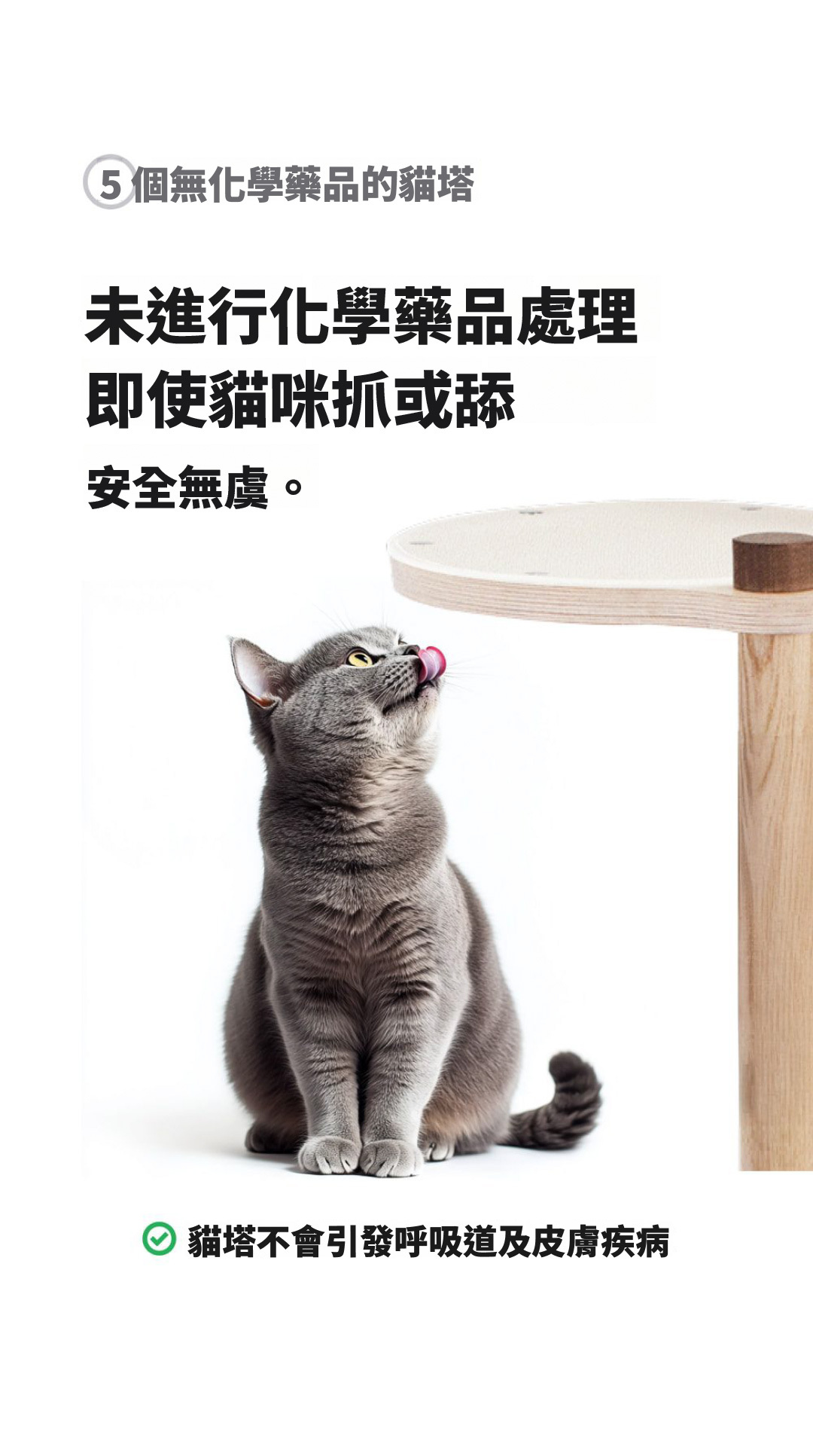 未進行化學藥品處理,即使貓咪抓或是舔都安全無虞