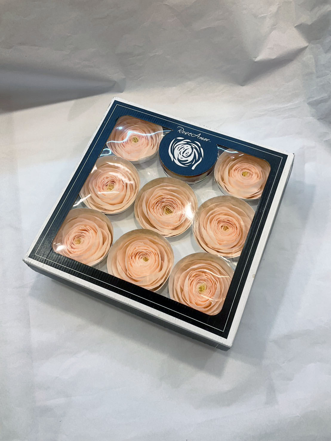 【特價】Rose Amor (陸蓮9輪）