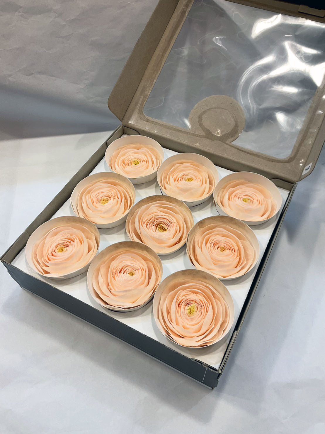 【特價】Rose Amor (陸蓮9輪）