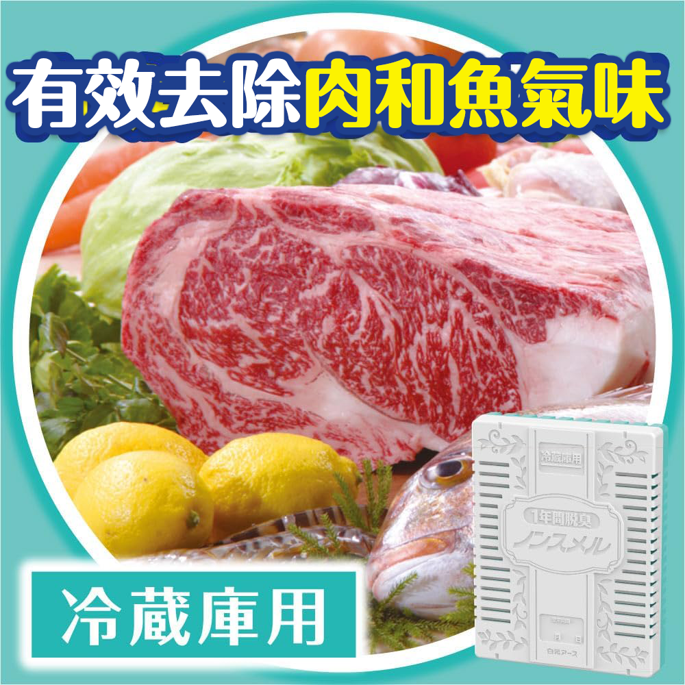 日本 地球製藥 白元冰箱 冷藏室 除臭劑 25g