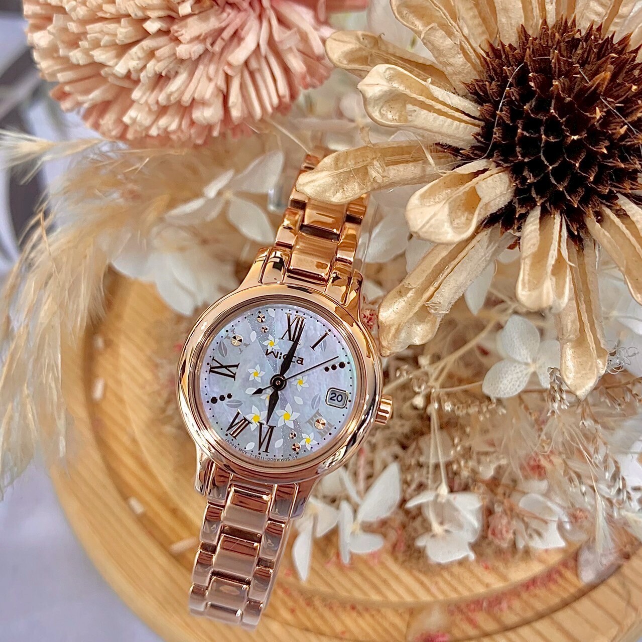 【CITIZEN 星辰】wicca公主系列 茉莉花錶盤KH4-963-21 24mm 現代鐘錶