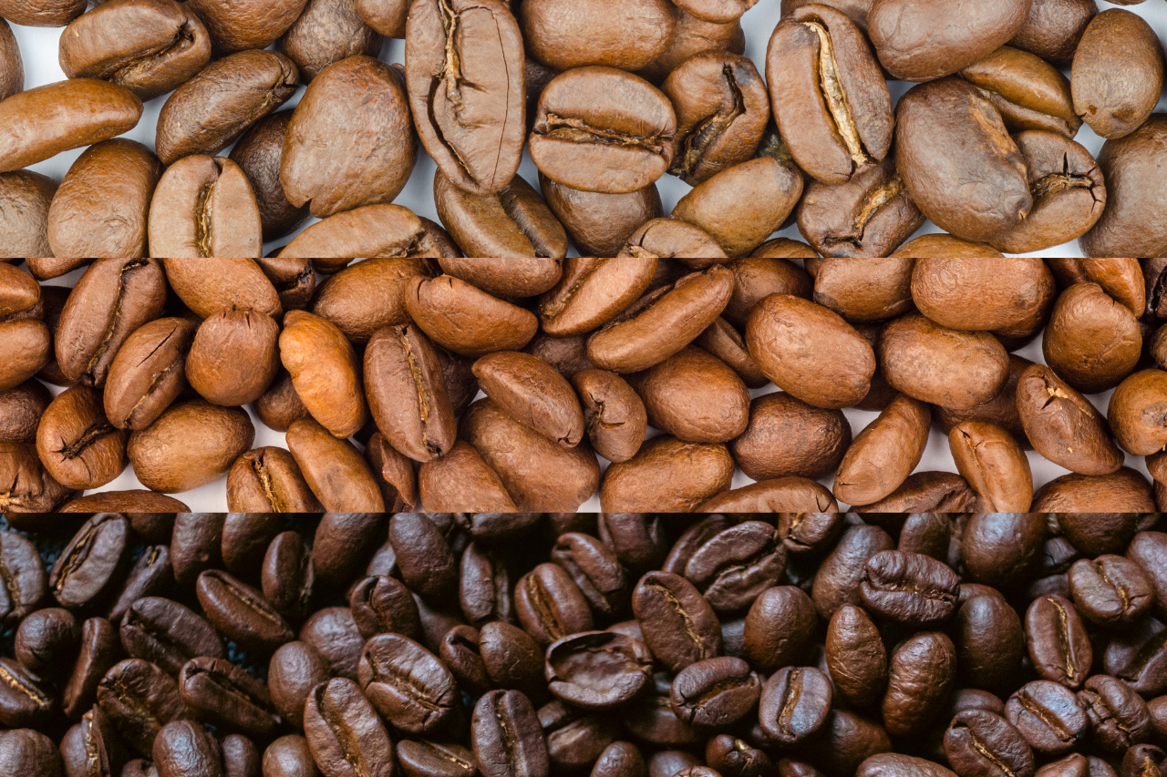 濾掛咖啡豆烘焙度差異圖