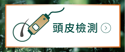 頭皮檢測