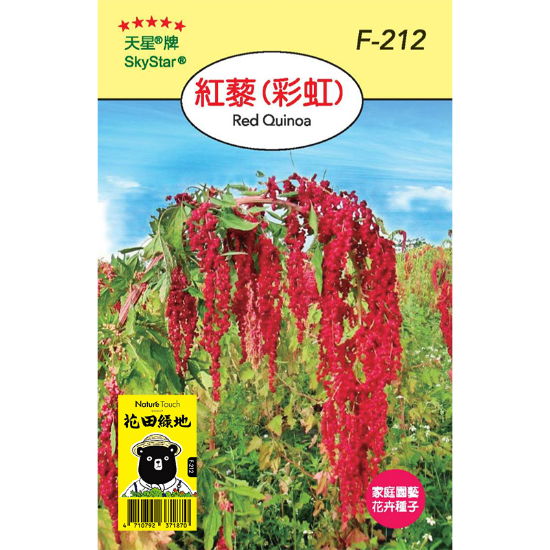 花果蔬菜種子