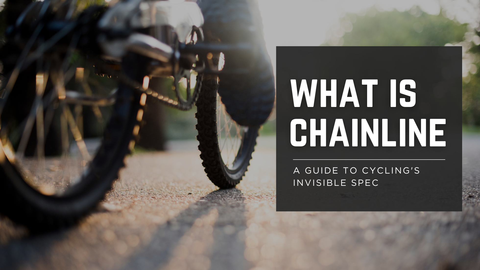 What is Chainline? A Guide to Cycling's Invisible Spec