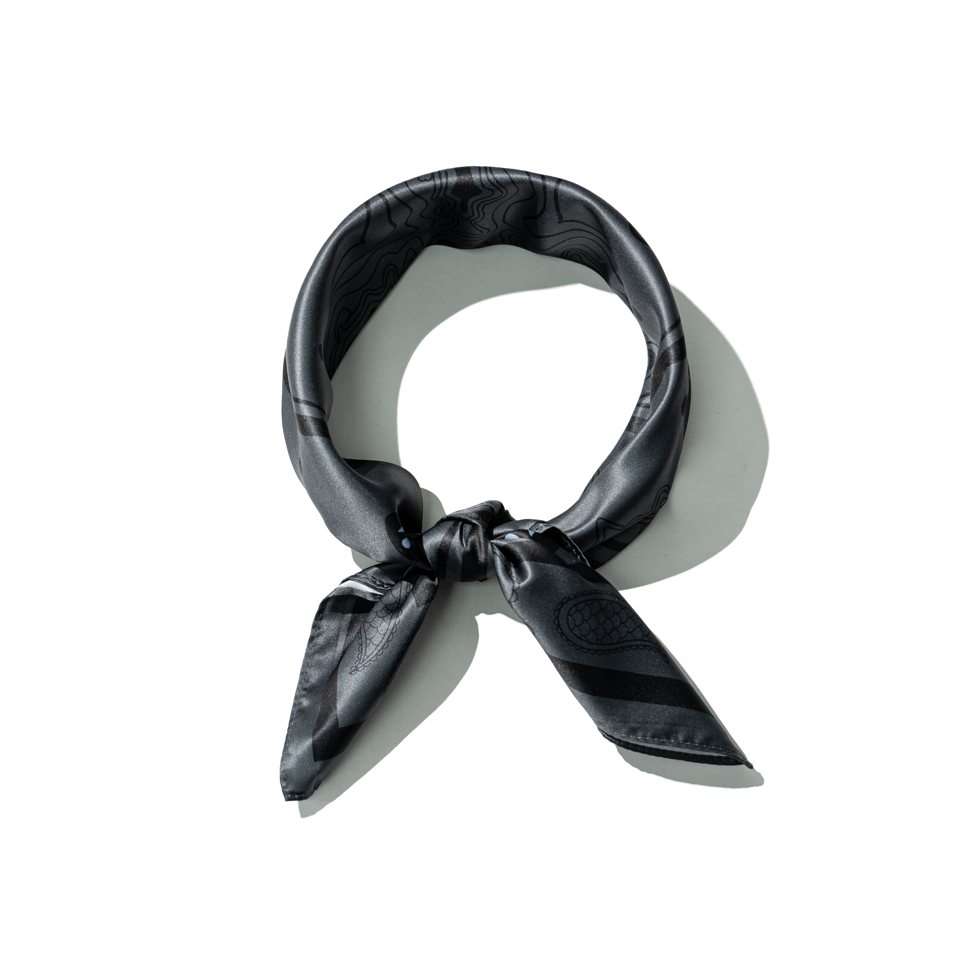 AGILITY Paisley Silk Scarf 魚影 變形蟲絲巾 [SS1]