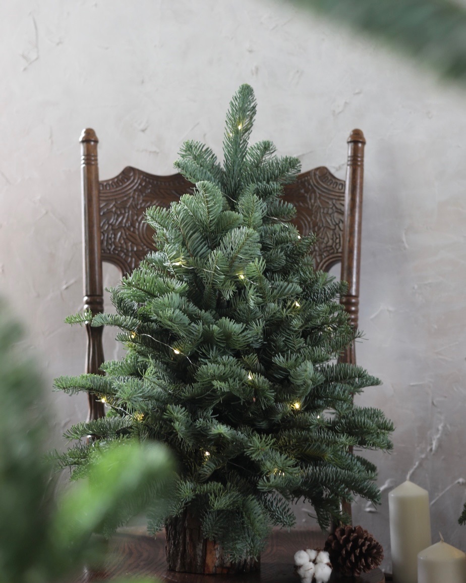 2025雙十一預購Resana 進口諾貝松聖誕樹．裸樹