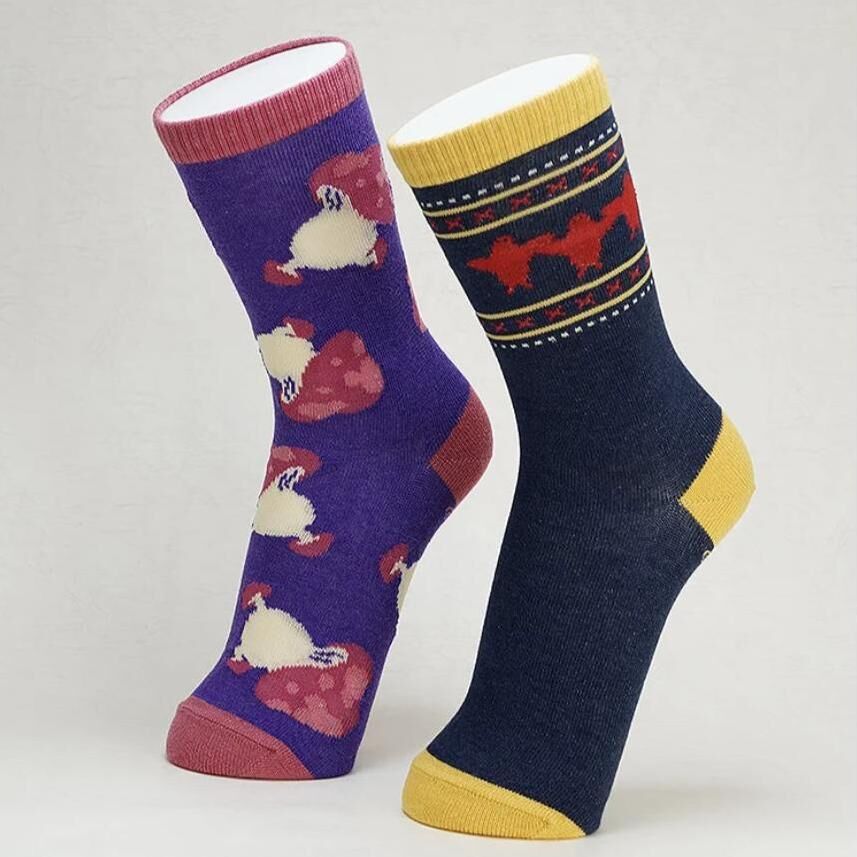 「ACG.GO」「預購」瑪露希爾的使魔襪子／走路菇襪子 迷宮飯