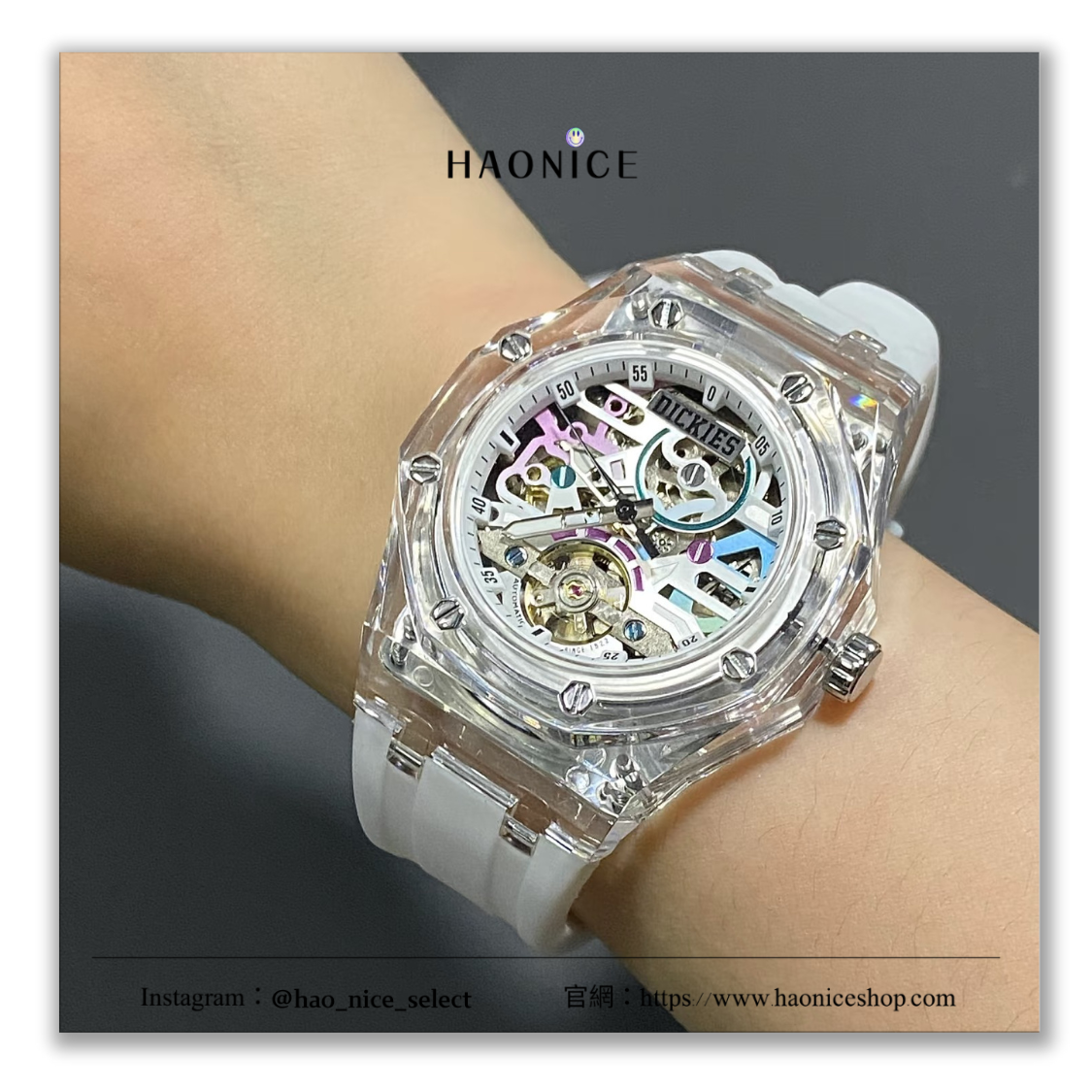 【HAO NICE】100%正品🔥潮流品牌 Dickies 透明鏤空機械錶 全自動錶 防水 運動手錶
