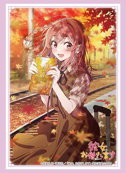 HG卡套 出租女友 桜沢墨 Vol.4917