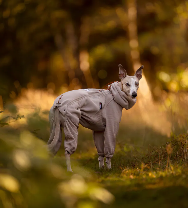 【Non-stop dogwear】TRAIL QUEST 全身保暖刷毛衣