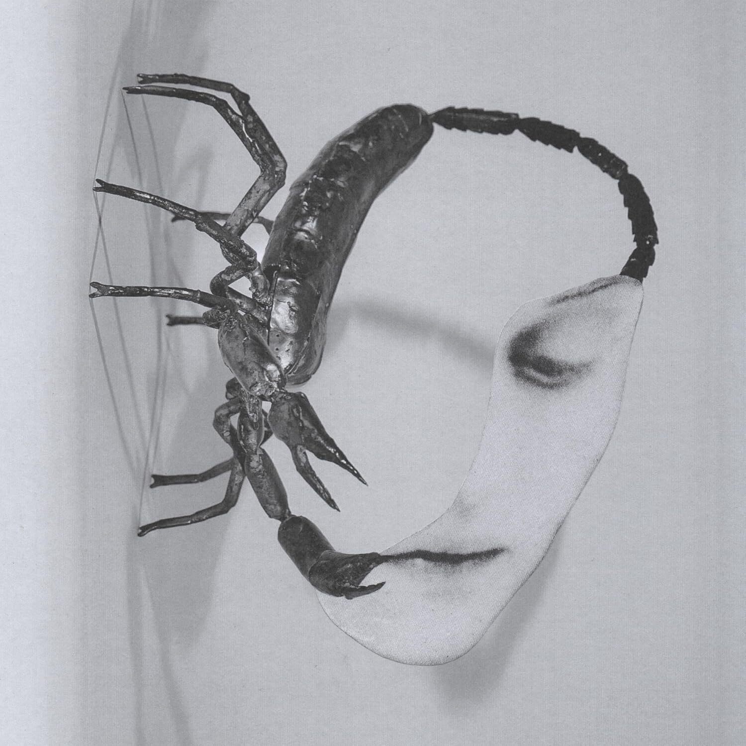 Tortoise《Touch》（CD）