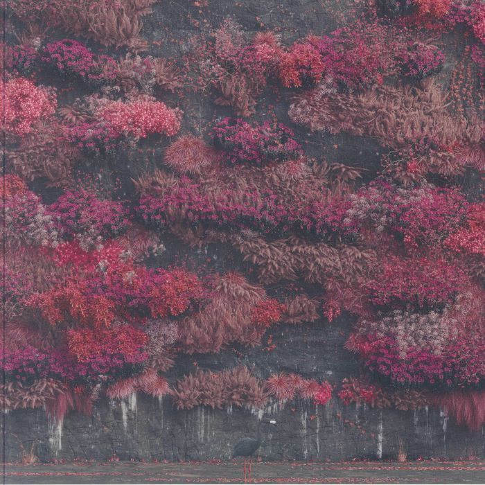 Sleep Token《Even In Arcadia》（2LP）