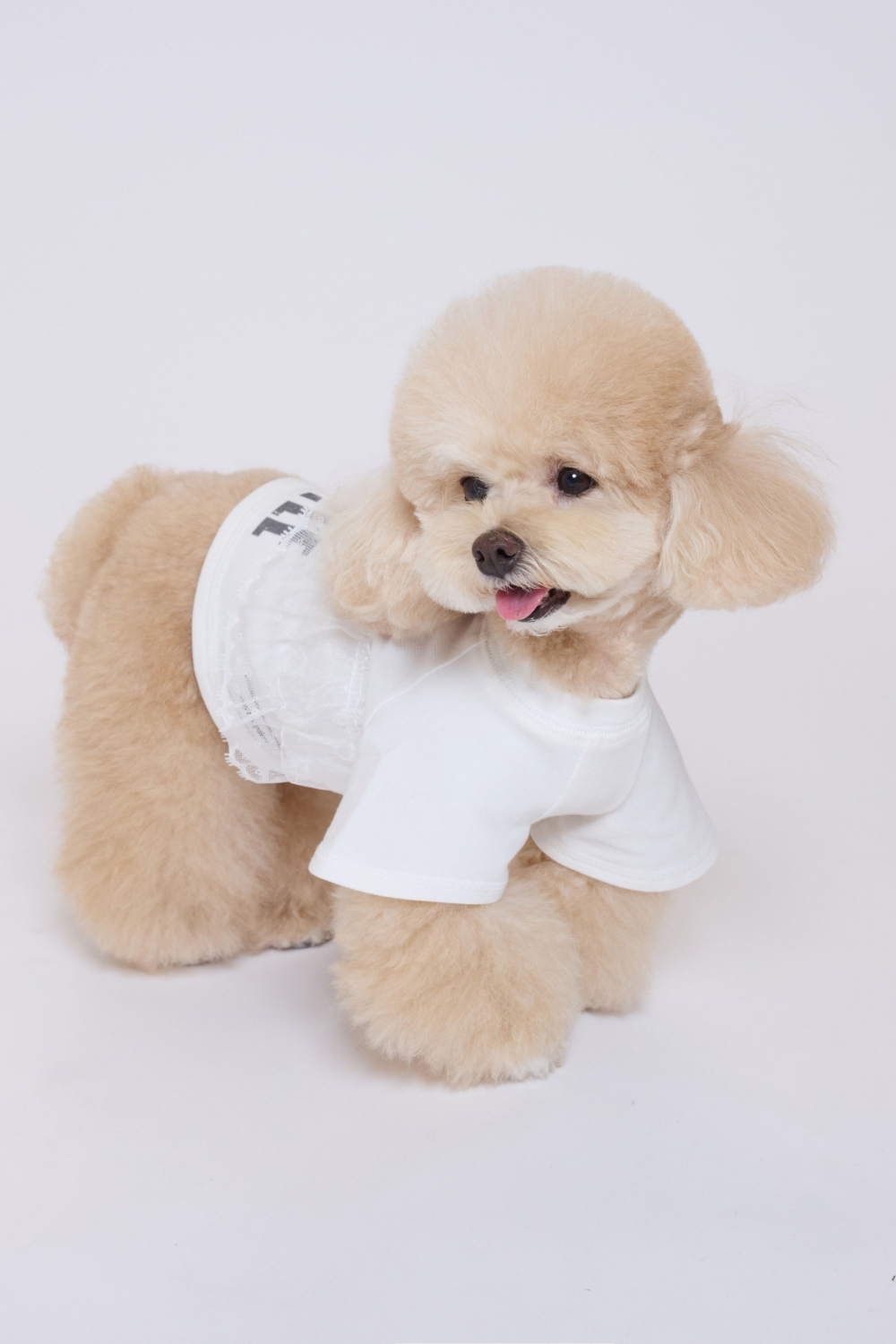 COZY-N 純白蕾絲長版T-Shirt