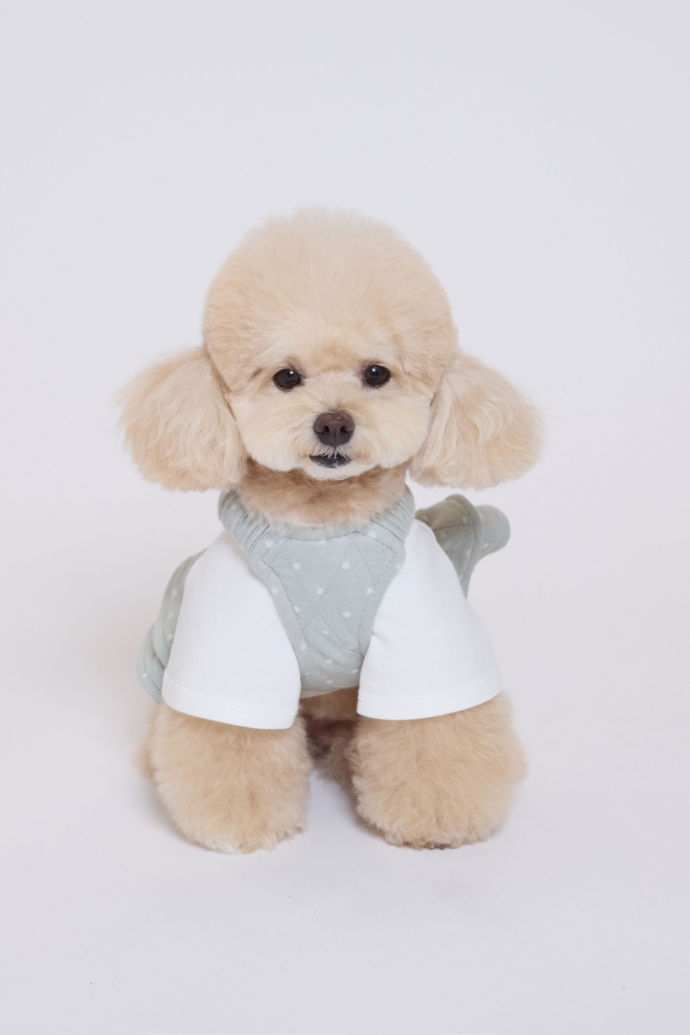 COZY-N 縫絎波卡點點短版馬甲_薄荷